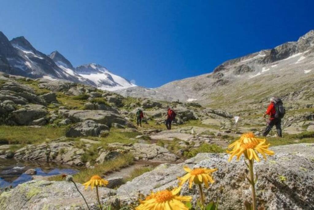 Sulle Piste *